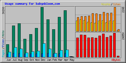 Usage summary for babynbloom.com